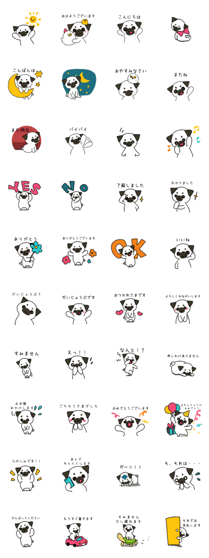 ShiroPug(White pug)