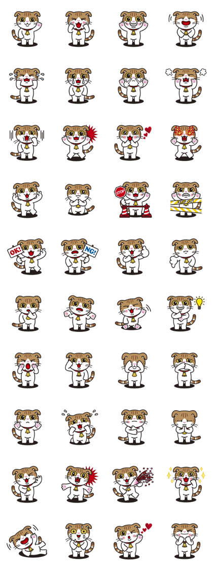ALICE the Scottish Fold Cat