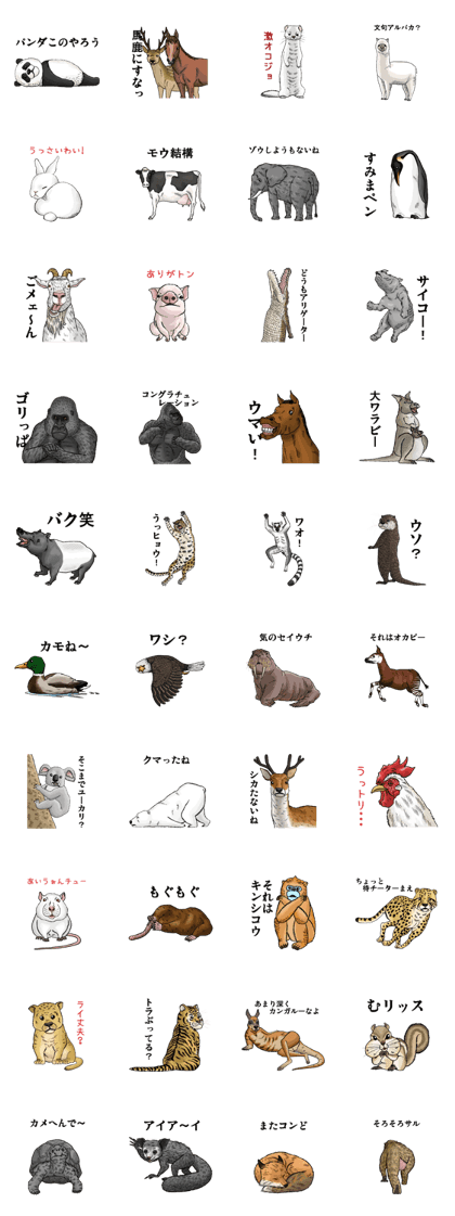 Puns animal
