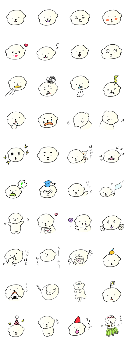 BichonFrise Kabu