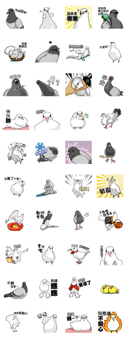 Funny pigeons