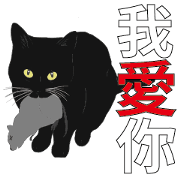 LazyFatBlackCat