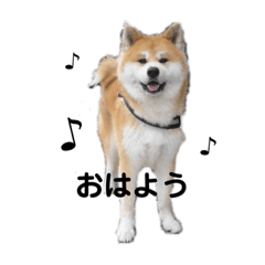 yamada_20200706140124