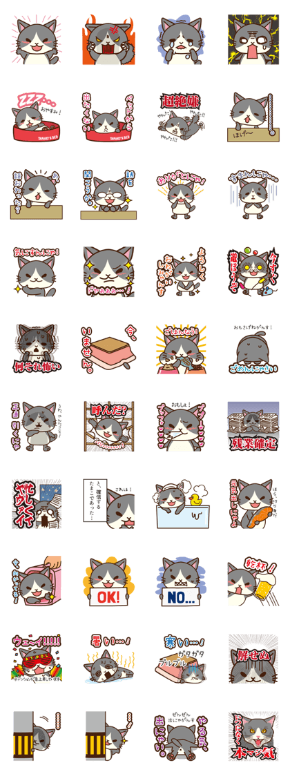 "PettyLiving Iwate" Tamako