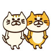 I want to say more more Meowing(cat)No3