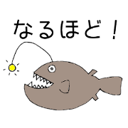 The Marine Life