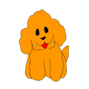 Cute Toy Poodles Cute Toy Poodles