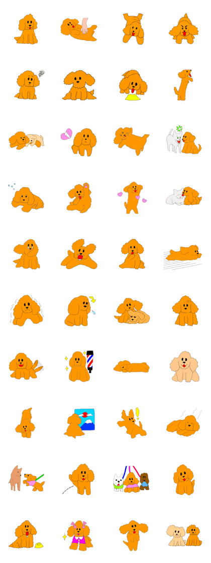 Cute Toy Poodles Cute Toy Poodles