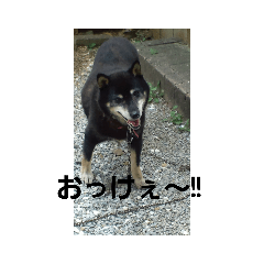 chie_20200706141607