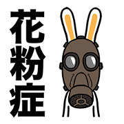 Rabbit suffers from hay fever