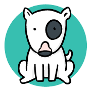 Bull Terrier Dog