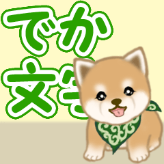 Puppy of Mameshiba greets 3