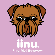 iinu - Brussels Griffon
