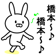 Rabbit to HASHIMOTO