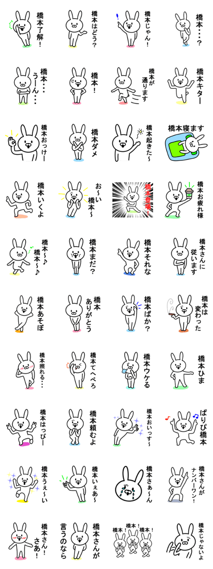 Rabbit to HASHIMOTO