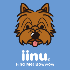 iinu - Norwich Terrier