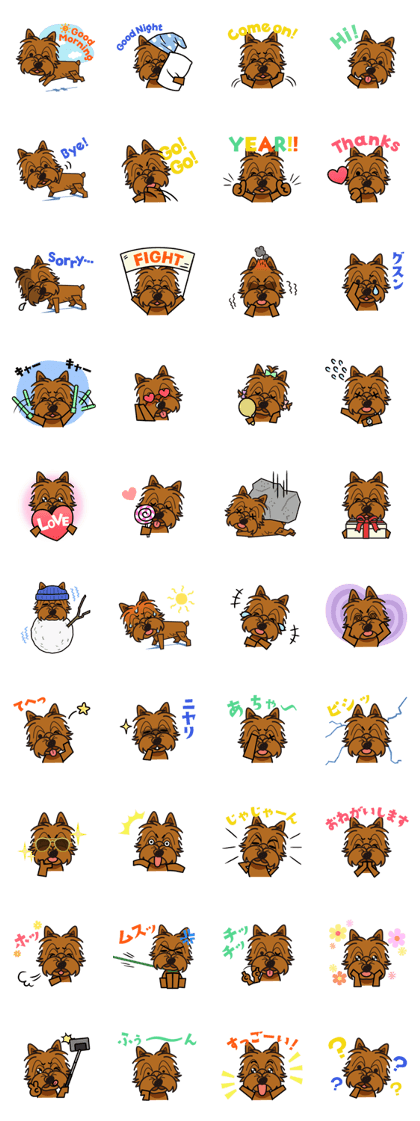 iinu - Norwich Terrier