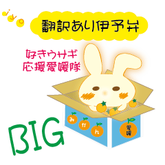 Big iyo dialect rabbit