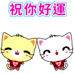 晴天貓 ( 新奇 )    .