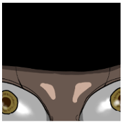 THE OKIKU ZERO