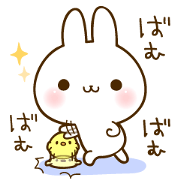 namaiki-rabbit3