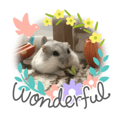 minorin_20200706163320