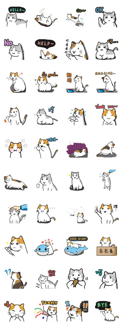 San-Gi cats