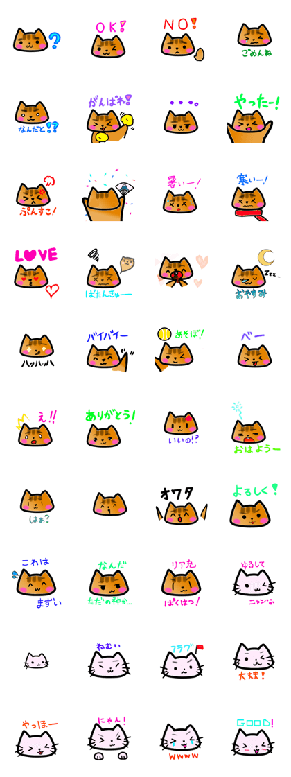 MAYU RISU & MAYU NEKO