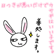 Bad eyes,but good rabbit.