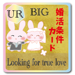 Big action for marriage condition rabbit