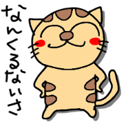 Ishigaki of tiger cat