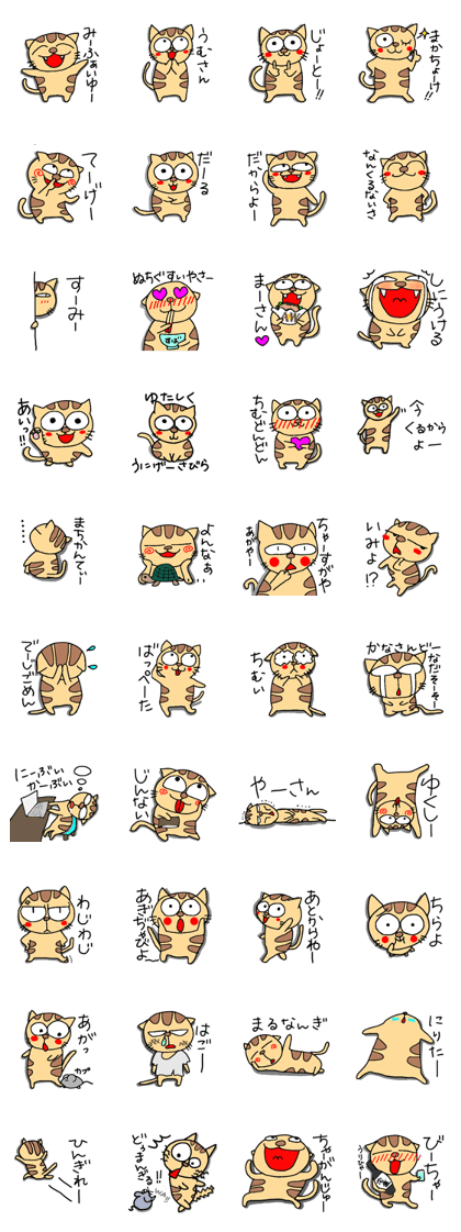 Ishigaki of tiger cat