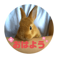 saori_20200706120753