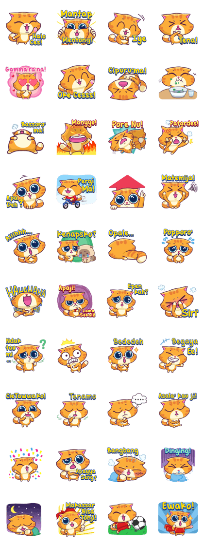 Meong Makassar