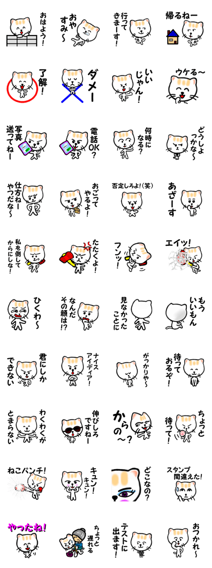 Various life of the cat