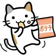 Snack cat