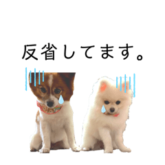 natsumi_20200706160406