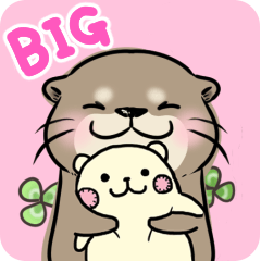 Little otter Little otter