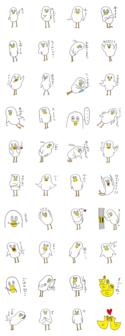 Funny and cute bird's
