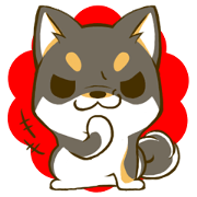 Japanese Black Shiba Inu tan 2