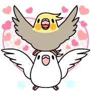 Cockatiel "Okame-inko"