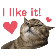 yukari_20200706211540