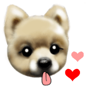 PON.de.Pomeranian4