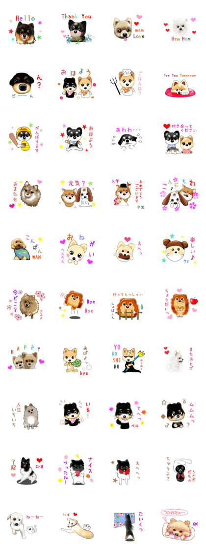 PON.de.Pomeranian4