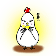Feeling of the COCCO of the chicken