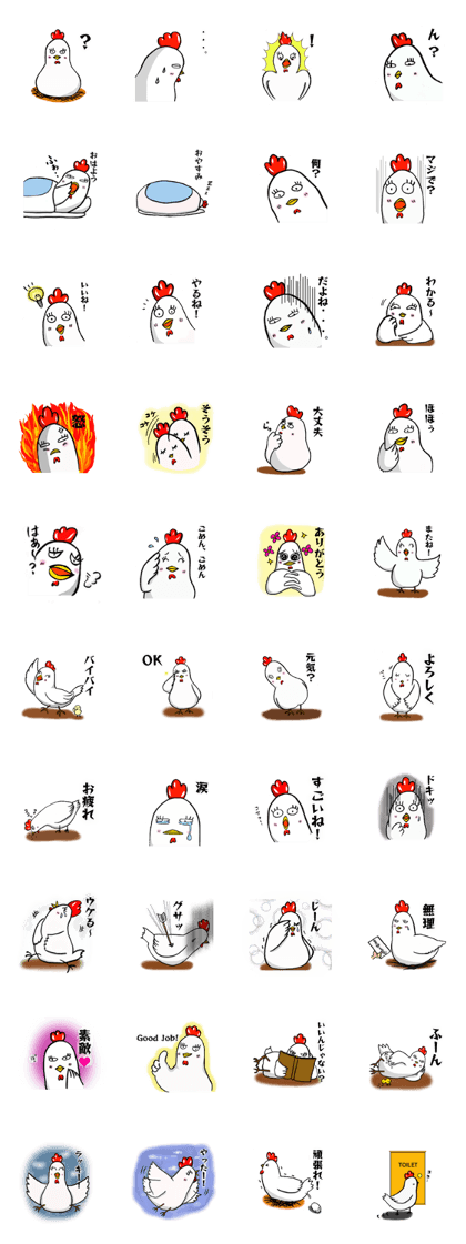 Feeling of the COCCO of the chicken