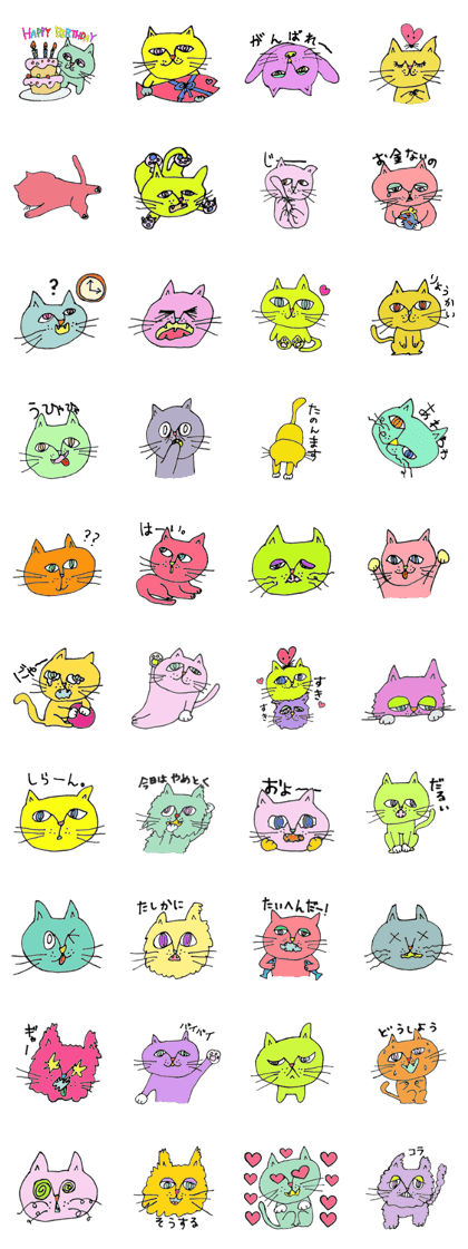 Bonjour cat 2