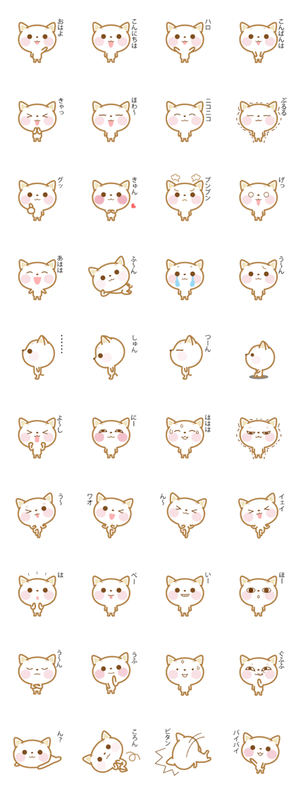 Notes is thin cat