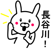Rabbit to HASEGAWA