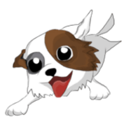 Ma-Now (The Jack Russell)